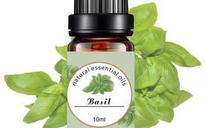 Basil Pure Essential Oil 10ml