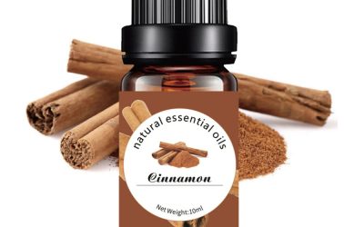 Cinnamon Pure Essential Oil 10ml