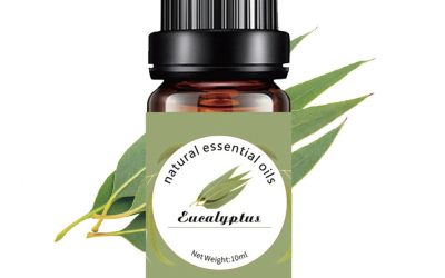Eucalyptus Pure Essential Oil 10ml