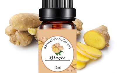 Ginger Pure Essential Oil 10ml