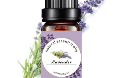 Lavender Pure Essential Oil 10ml