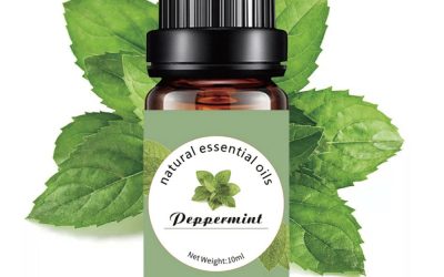Peppermint Pure Essential Oil 10ml