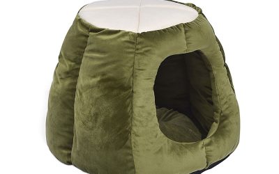 Pet Dog Cat Bed 2-in-1 Folding Igloo Green