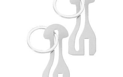 Shopping Trolley Keys