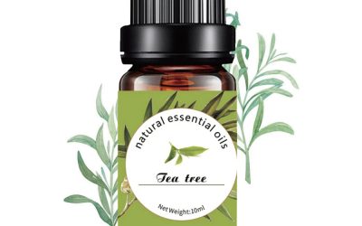 Tea Tree Pure Essential Oil 10ml
