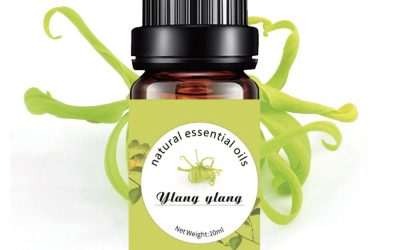 Ylang Ylang Pure Essential Oil 10ml