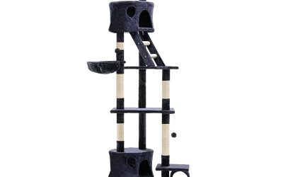 Cat Kitten Toy 260cm Scratching Tree Blue